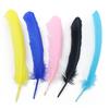Mask Accessories Turkey Feather 25-30Cm Dyed Color Nest Feather Diy Accessories Feather