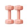 Longchan Fitness Cement Dumbbells