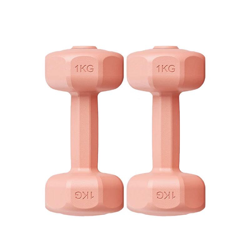 Longchan Fitness Cement Dumbbells