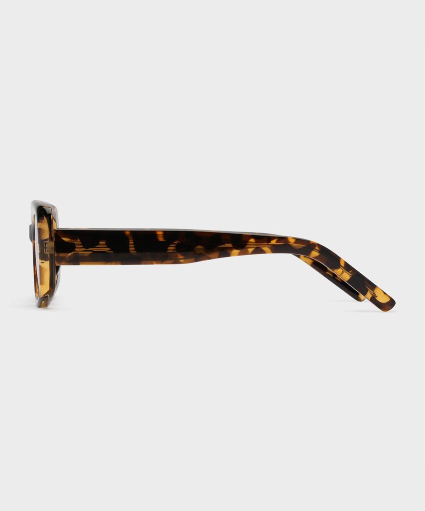 Nonpig Beam_Lp Sunglasses