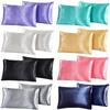 2Pcs Silk Satin Pillow Case Bedding Pillowcase Smooth Home with Envelope Closure Twin/Queen/King Size