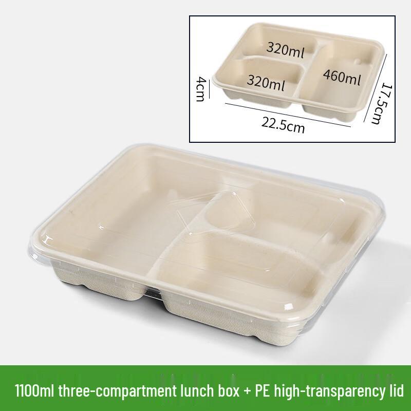 Ally Eco-Friendly Disposable Food Container