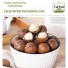 Extra-Large Thin-Shell Creamy Macadamia Nuts, 500g Jar
