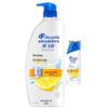 Head & Shoulders Refreshing Oil Control Anti-Dandruff Shampoo