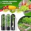 1/2/3PCS Black Fresh Herb Keeper Vanilla Vegetables Fresh Preservation Bottle Herb Saver Storage Container Kitchen Gadgets