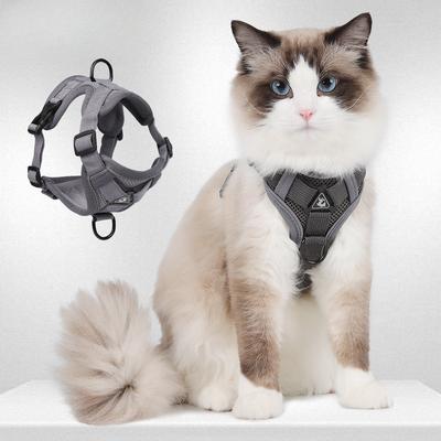 New Cat Traction Rope Vest-style Pet Chest Strap Reflective Breathable and Anti-breaking Small Dog Walking Cat Traction Rope