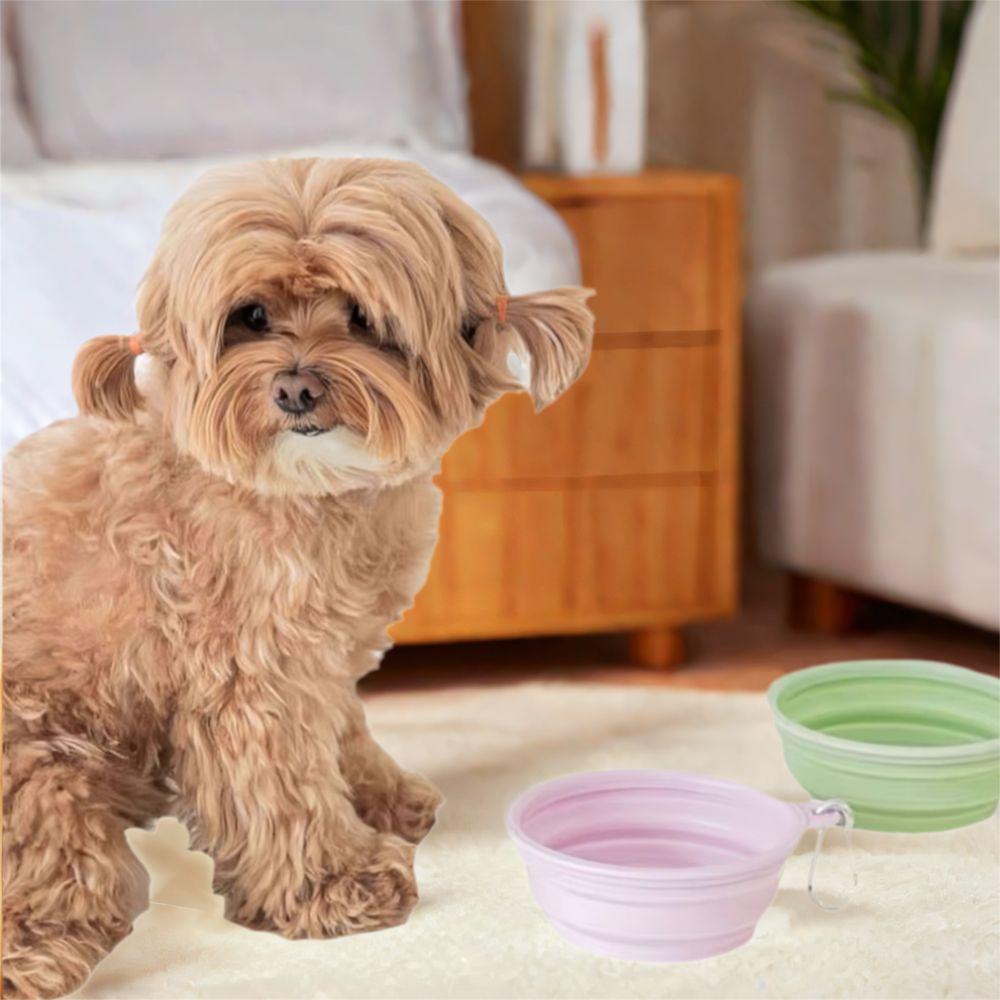 TPE Portable Pet Bowl 350ml Puppy Feeding Bowl Dog Bowls Macaron Pet Bowl  Pet Feeding