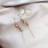 Korean High Sense New Tide Long Tassel Bead Temperament Earrings Female Personality Temperament Section Creative Earrings