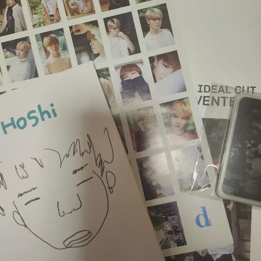 

Seventeen Dispatch Magazine Batch