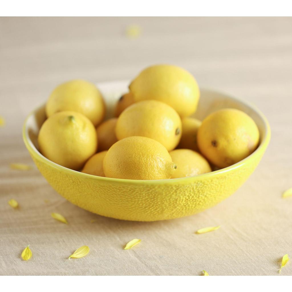 Servírovací mísa Hestia Lemon