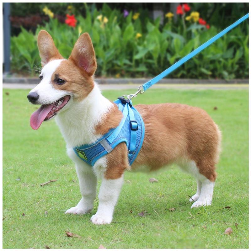 Breathable Mesh Reflective Dog Harness with Matching Traction Rope Adjustable Vest Chest Strap for Small Puppies Teddy Bichon Walking Supplies