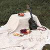 FTLY LYTT01 INS Style French Camping Blanket