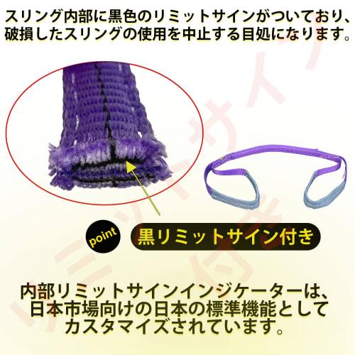 HELIX Sling Belt Width 25mm Working Load 1000kg Nylon Sling Lifting Traction Belt Sling 1T Japanese Specifications Included [Set of 2] (3m)