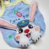 Lightweight Dog Dress With 3D Cartoon Character Applique Small Breeds Like Teddy Poodle Chihuahua