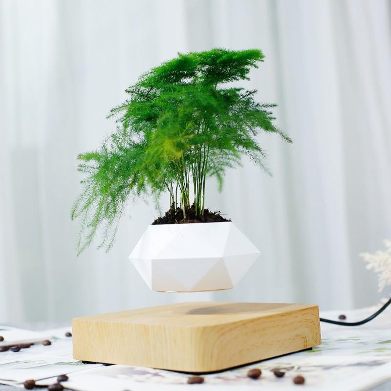 Household Levitating Air Bonsai Pot Rotation Flower Pot Planters Potted Plant Without Plants Magnetic Suspension Floating Pot