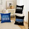 S-SEGA Pillow Covers Cartoon Sofa Decorative Home Double-sided Printing Short Plush Cute Cushion Cover