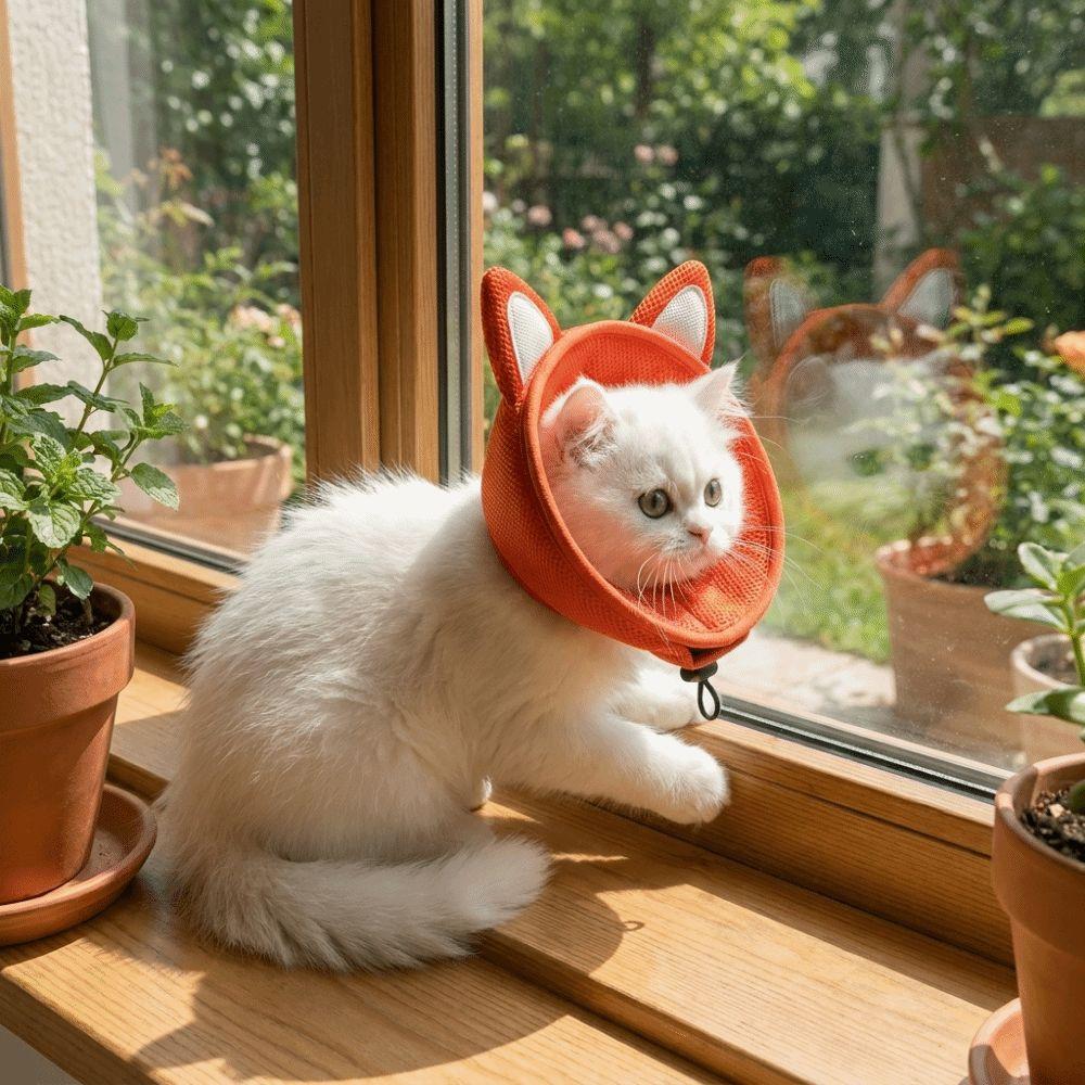 Tierförmiger Katzen-Elizabeth-Kragen Verstellbarer Katzen-Genesungskragen Katzen-Kegelkragen Kratzfest