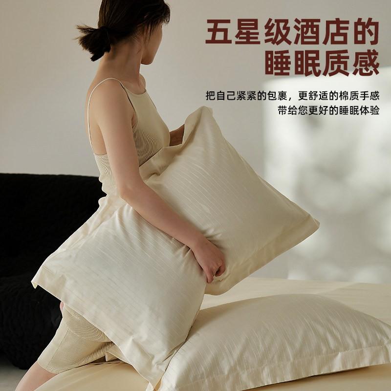 Luxury 100S Egyptian Cotton Jacquard Pillowcases Set Of 2 Hotel-Style Bedding Premium Soft Breathable Sleep Comfort