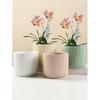 Ceramic Flower Pot with Tray