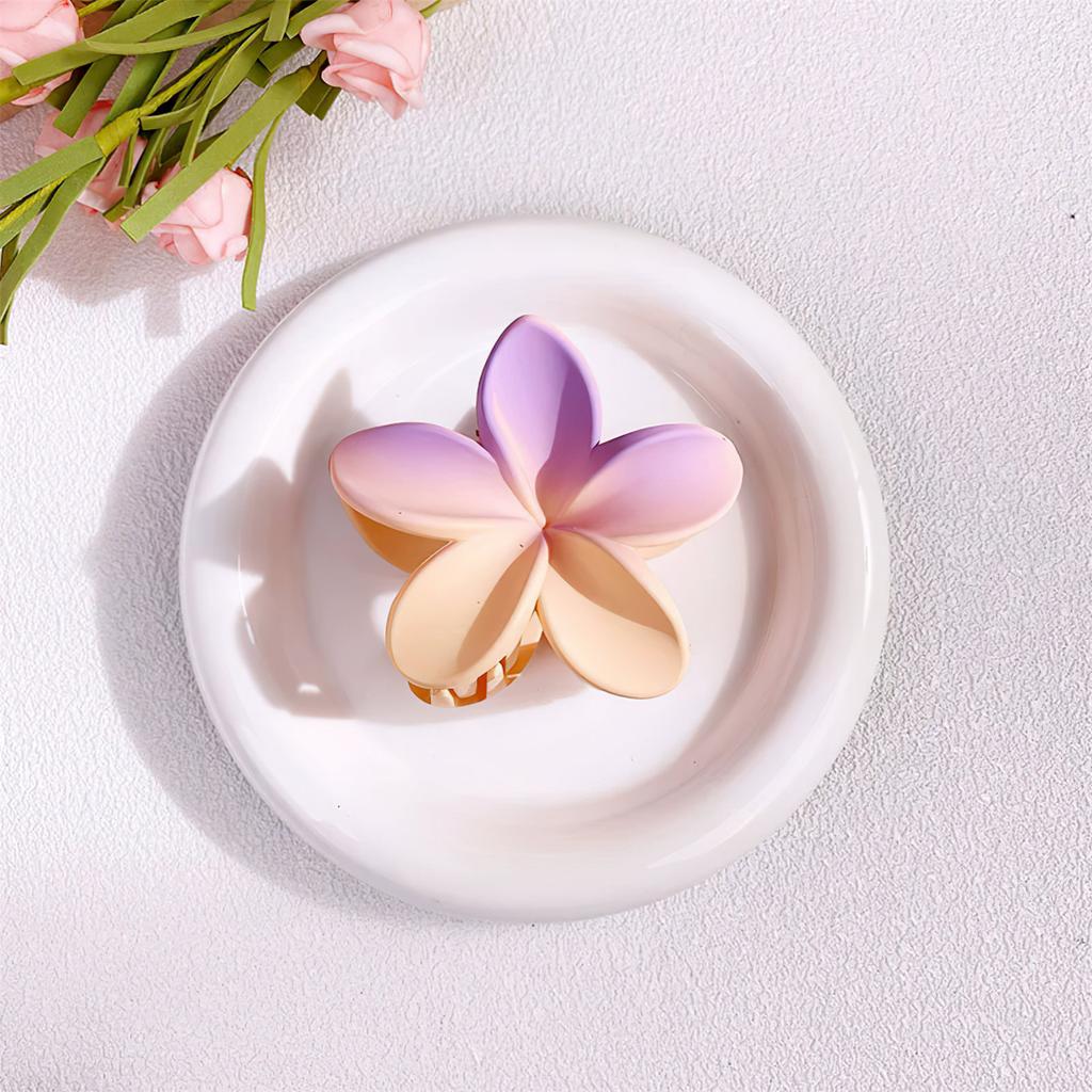 Matte Farbverlauf Blume Haarspange Mädchen Elegant Süßlich Floral Haarspangen Shopping Reise Kopfschmuck Accessoires Strand Haarspangen