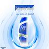 Head & Shoulders Men's Oil Control Anti-Dandruff Shampoo