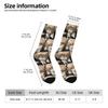 Byakuya Togami Anime Stockings Danganronpa Design Modern Socks Autumn Anti Sweat Socks Men Outdoor Sports Soft Breathable Socks