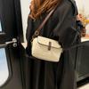 Women's Bag 2025 Winter Women's Messenger Bag New Small Bag Foreign Style Niche Korean Version Single Shoulder Messenger Bag Small Square Bag