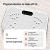 Full Body Home Vibration Platform Machine