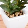 Simulation Plant Decoration Potted Plant Nordic Green Plant High Imitation Ornament Home Living Room Fake Flower Succulent Decoration
