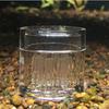 4pcs Easily To Use Planaria Trap for Aquarium Fish Tank Maintaining Clean Fish Tank Suitable for Aquarium Enthusiasts