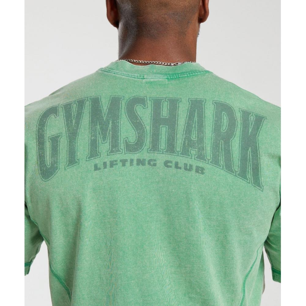 Gymshark HeriTage Washed T shirT Lagoon Green A4a9h Ecp2