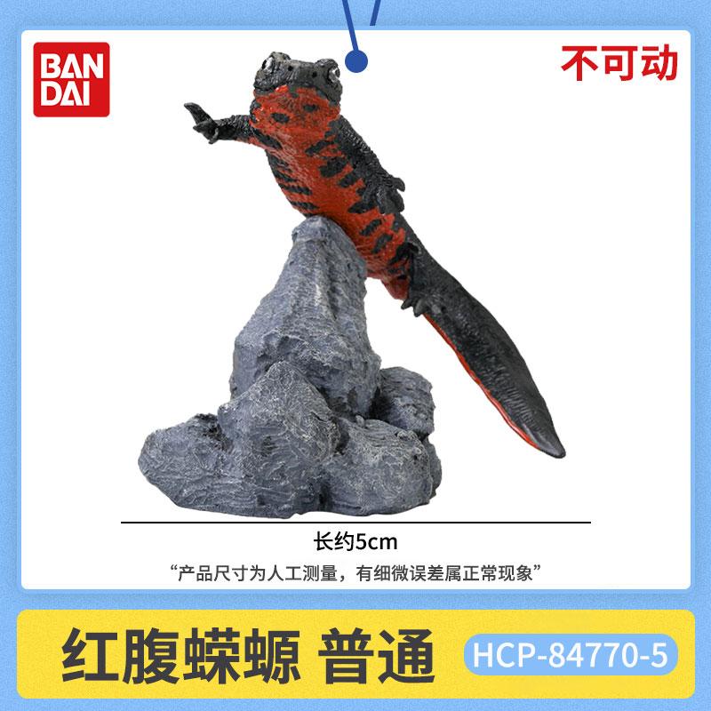 

Genuine Realistic Amphibian Animal Figurines Vol.2 Gachapon Capsule Toys Horned Frog Salamander Model