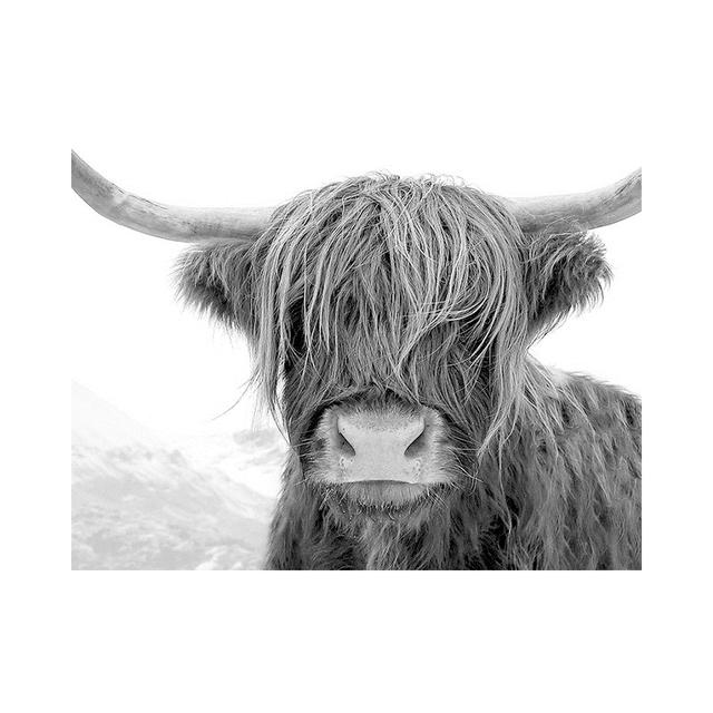 Black and White Highland Cow Cattle Canvas Painting Nordic Posters and Prints Wall Art Pictures for Living Room Home Decoration No Frame