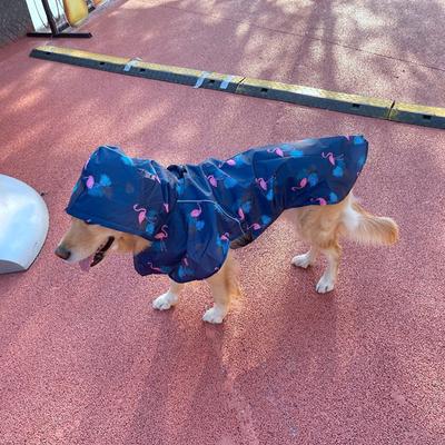 Große Hunde Regenmantel Haustier Wasserdichter Regenmantel Kapuzenjacken Kleidung Schöner bedruckter Regenumhang Regenmäntel Chihuahua Teddy