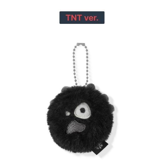 3rd Pre-order 26 CORTIS TOUR PUT YOUR PHONE DOWN Mini CORTIS Ball Key Ring