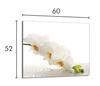 Glass Hob Protector 60x52 Orchid