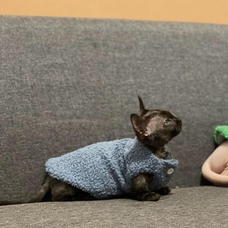 Warm Fleece-Lined Cat Vest Devon Rex Hairless Cats Winter Thickened Sleeveless Coat Small Breed Pet Clothing