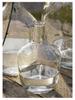 Large Transparent Japanese Andromeda Glass Vase - Thin-Neck, Big-Belly Design for Living Room Decor