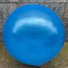 WEZHO Yoga and Pilates Ball