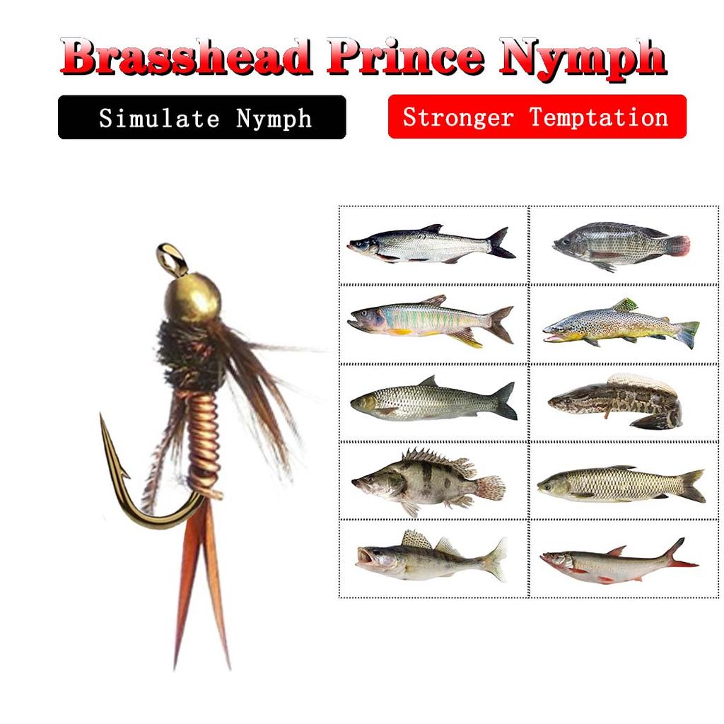 5/10 Stück/Box Messing Angelköder Schnell Sinkend Draht Wolframperlenkopf Nymphenfliegen Für Forellen Fliegenfischen Köder