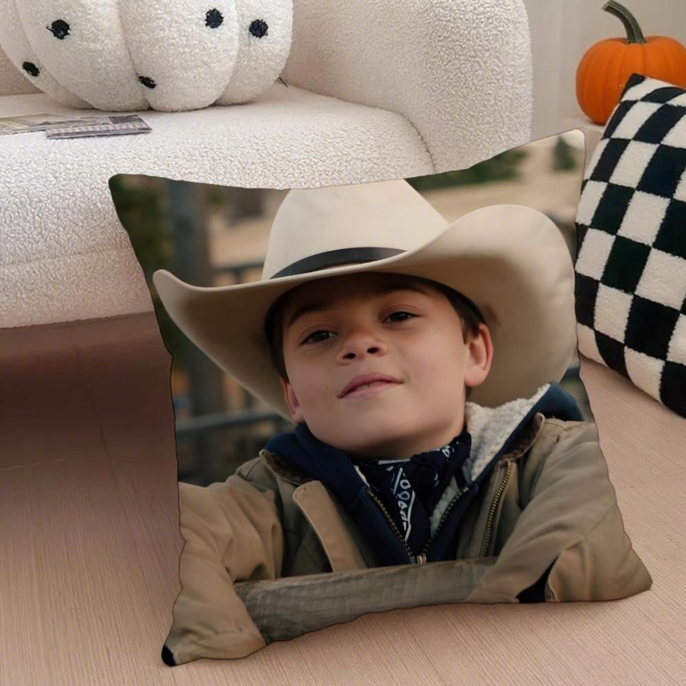 TTate Dutton Cushion Cover Throw Pillow Cover Hidden Button Durable Polyester Chair Cushion