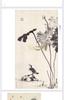 Bada Shanren Complete Works: 8K Ink Wash Painting Techniques In Landscape and Flora Fauna Art