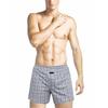 Men Panties Plaid Mid Waist Close Fit Stretch Hidden Button Super Soft Underpants Underwear Shorts Men Clothing