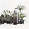 HARUHARU WONDER Black Rice Hyaluronic Toner  150ml