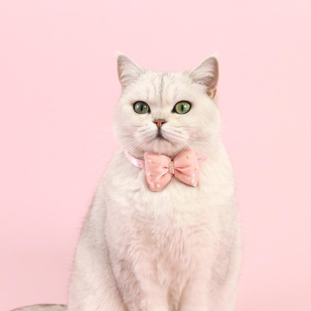 Herz-Anhänger Haustierbedarf Verstellbare Katzenhalsbänder Mode-Haustierhalsband Haustier-Accessoires