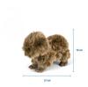 Capybara Plush Animal Stuffed Capybara Tobar Animigos Toy, Animal, Doll,