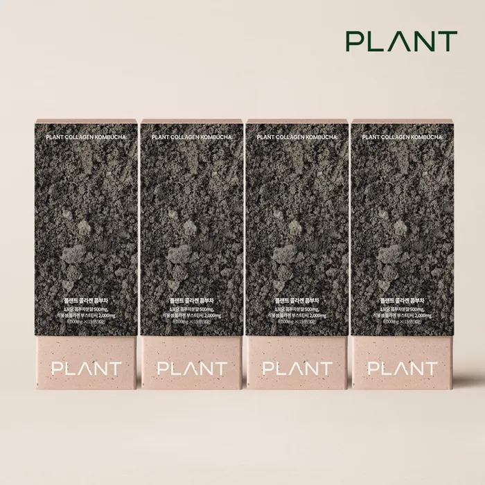 

Plant Vegetable Vegan Collagen Kombucha 4 BOX