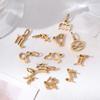 Wholesale 6pcs/lot 12 Constellation Zodiac Charm Pendant Stainless Steel High Quality DIY Jewelry Making Accessories