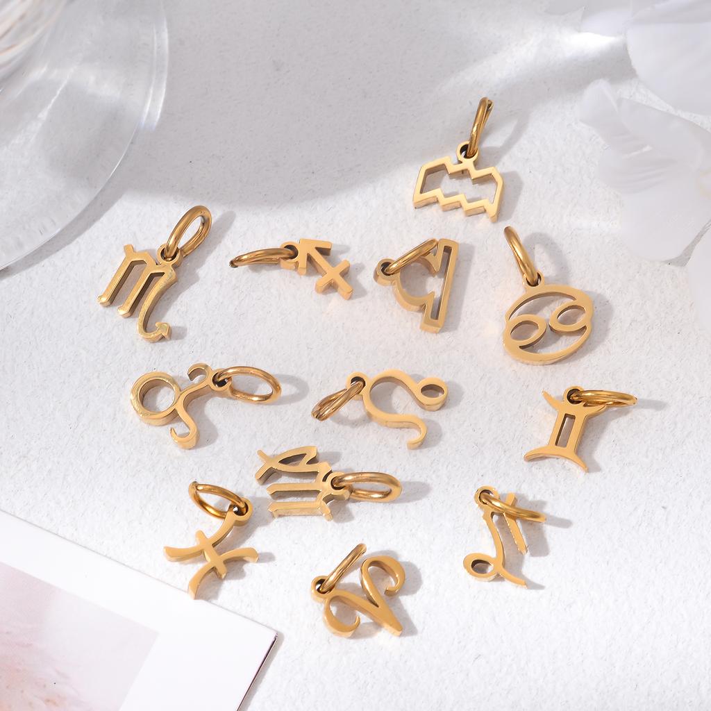 Wholesale 6pcs/lot 12 Constellation Zodiac Charm Pendant Stainless Steel High Quality DIY Jewelry Making Accessories