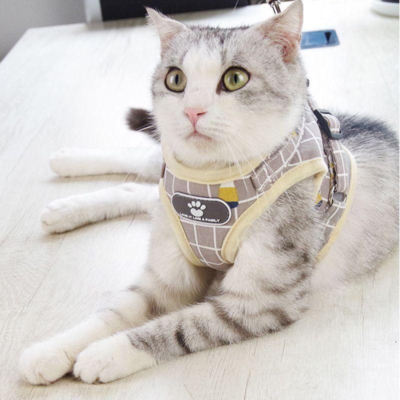 Arnés Reflectante para Gato Mascota y Juego de Correa para Gatos Gotas Sphynx Arnéses Correa para Pasear Perros mascotas Accesorios szelki dla kota
